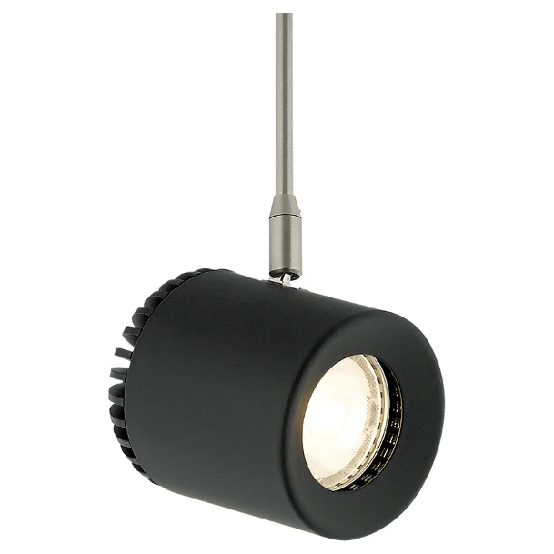 Track lighting for outdoor gardensBurk Head MonoPoint 6"