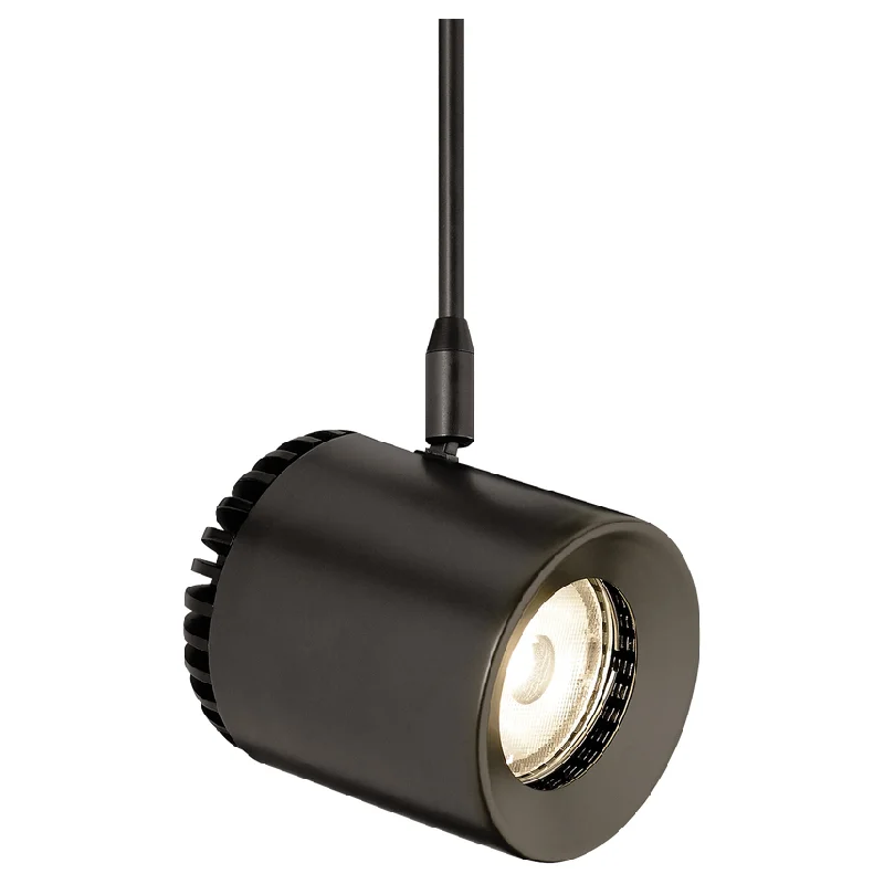 Track lighting with a long - lasting lifespanBurk Head MonoPoint 6"