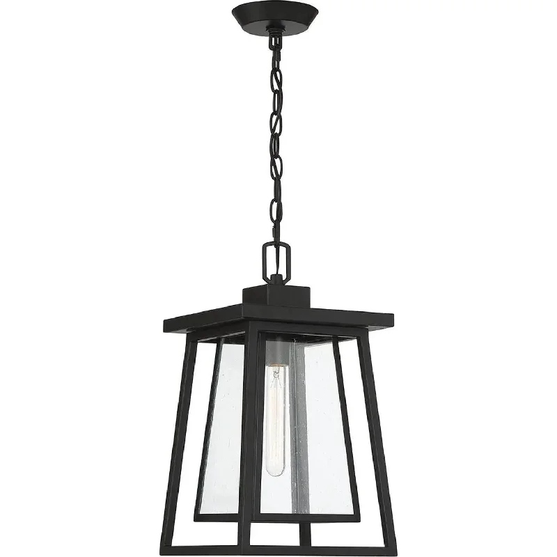 Smart track lighting with voice controlDenver Outdoor Hanging Lantern