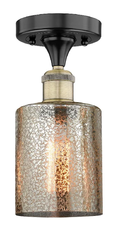 Industrial Lighting for Food Processing FactoriesEdison One Light Semi-Flush Mount