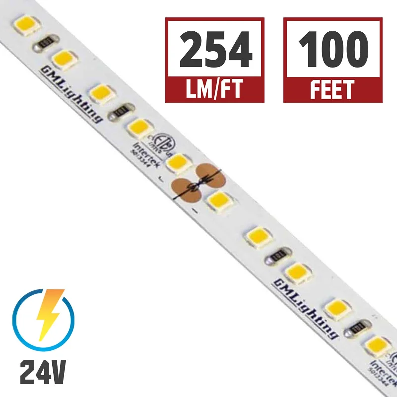 Energy - Efficient Industrial Lighting for Cost - SavingsLTR-P Pro LED Tape Light, 100ft Reel, 5000K, 254 Lumens per Ft, 3 watts per Ft, 24V Energy - Efficient Industrial Lighting for Cost - SavingsLTR-P Pro LED Tape Light, 100ft Reel, 5000K, 254 Lumens per Ft, 3 watts per Ft, 24V