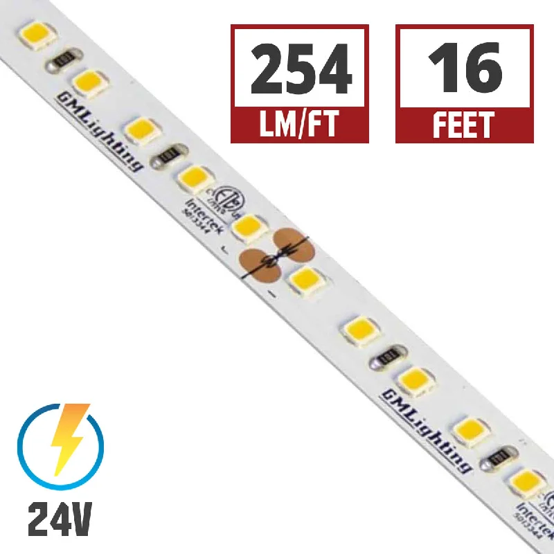 Industrial Exit Sign Lighting for Quick EvacuationLTR-P Pro LED Tape Light, 16ft Reel, 5000K, 254 Lumens per Ft, 3 watts per Ft, 24V Industrial Exit Sign Lighting for Quick EvacuationLTR-P Pro LED Tape Light, 16ft Reel, 5000K, 254 Lumens per Ft, 3 watts per Ft, 24V