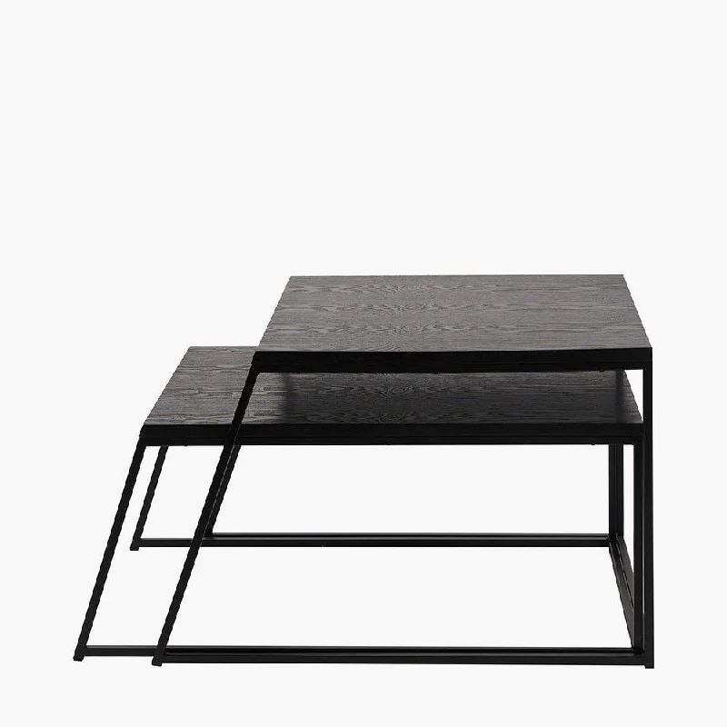 Track lighting for creating a focal pointMashiko Set of 2 Black Ash Veneer and Black Metal Coffee Tables Track lighting for creating a focal pointMashiko Set of 2 Black Ash Veneer and Black Metal Coffee Tables