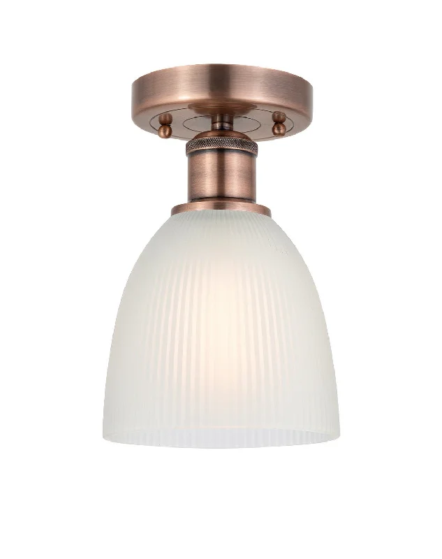 Industrial Lighting for Printing Press FacilitiesEdison One Light Flush Mount