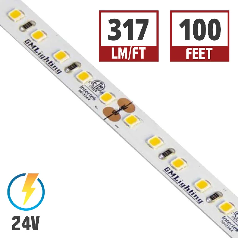 Color - Tunable Industrial Lighting for Special ApplicationsLTR-P Pro LED Tape Light, 100ft Reel, 2400K, 317 Lumens per Ft, 4.5 watts per Ft, 24V Color - Tunable Industrial Lighting for Special ApplicationsLTR-P Pro LED Tape Light, 100ft Reel, 2400K, 317 Lumens per Ft, 4.5 watts per Ft, 24V