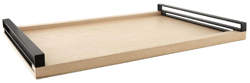Smart track lighting with voice controlRexburg Tray