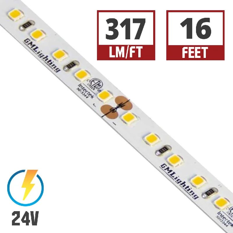 Energy - Efficient Industrial Lighting for Cost - SavingsLTR-P Pro LED Tape Light, 16ft Reel, 2400K, 317 Lumens per Ft, 4.5 watts per Ft, 24V Energy - Efficient Industrial Lighting for Cost - SavingsLTR-P Pro LED Tape Light, 16ft Reel, 2400K, 317 Lumens per Ft, 4.5 watts per Ft, 24V